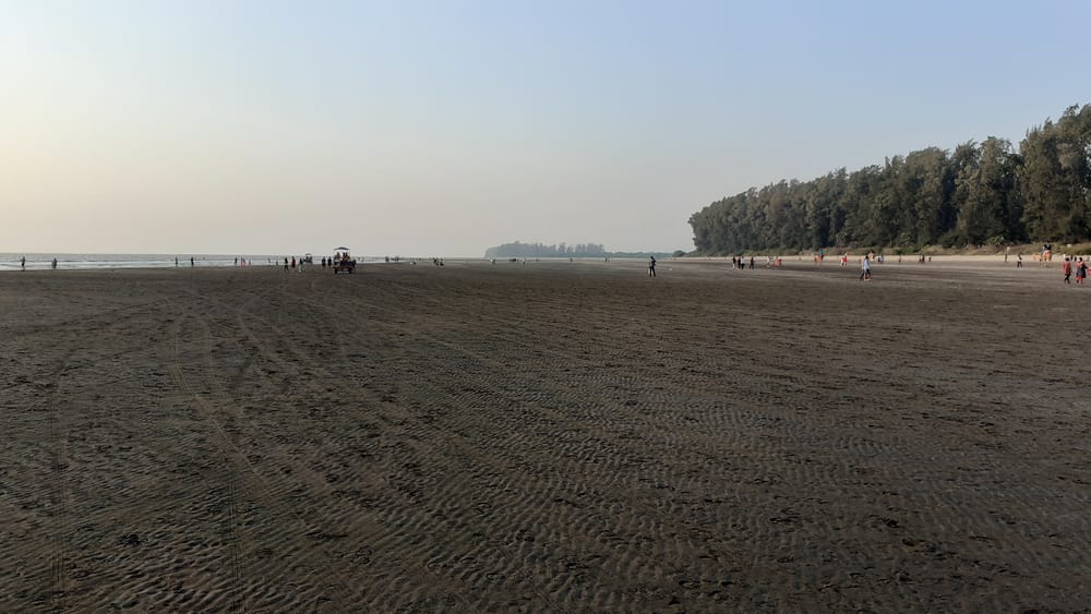 Kelve Beach & Suru Pine Forest, Palghar